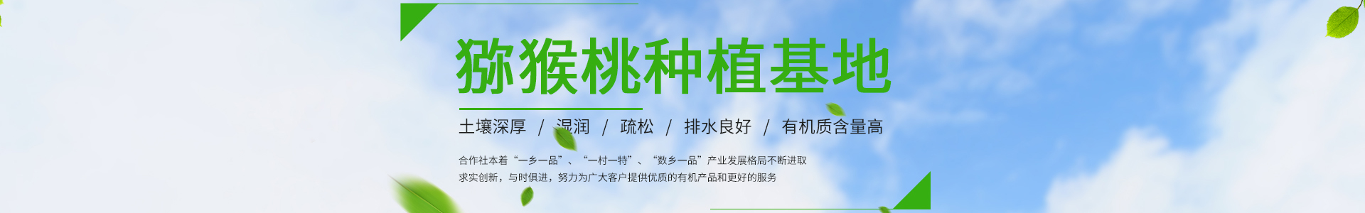 摩登7-摩登娱乐-摩登注册登录入口